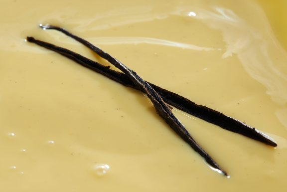CREME PASTICCERIA COTTA_C